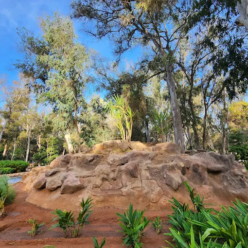 Forêt de Hilton (Ibn Sina) à Rabat : Le rendez-vous sport et nature
