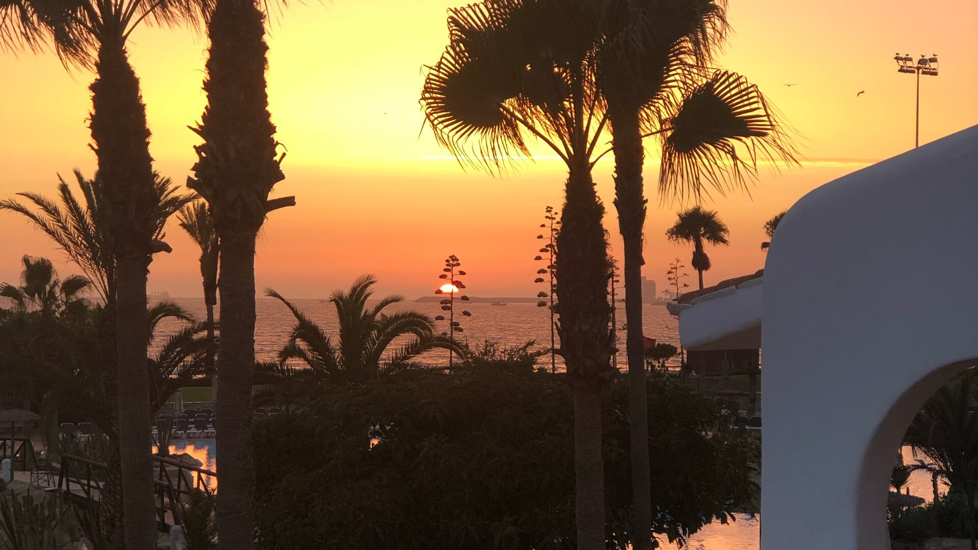 Coucher de soleil à Casablanca : les 5 meilleurs rooftops